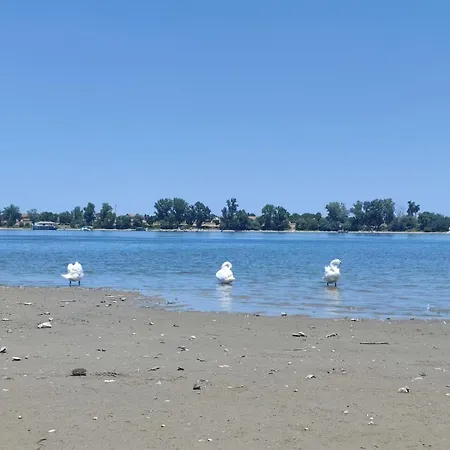 Dunavska Oaza Beocin