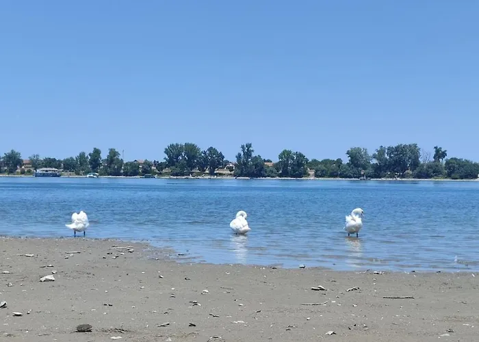 Dunavska Oaza Beocin